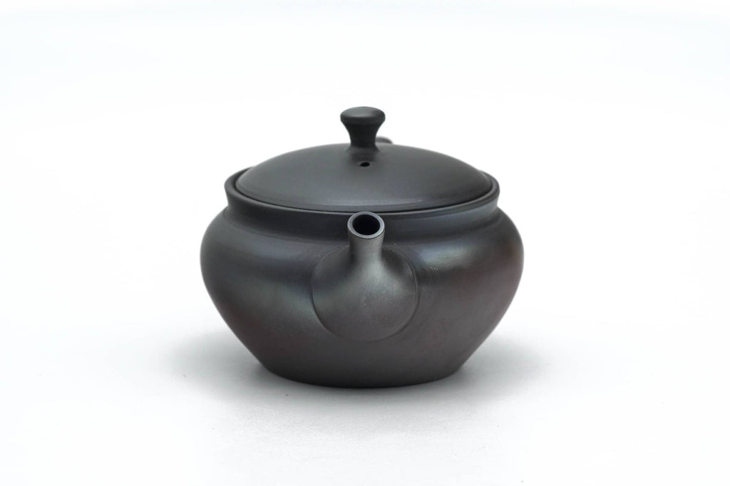 Kokudei Yōhen Rear-Handled Tokoname Teapot - 110ml