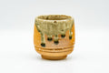 Japanese Teacup - Orange Green Drip-Glazed Shigaraki-yaki Yunomi - 120ml