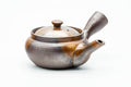 Japanese Kyusu - Ash Glazed Banko-yaki Mesh Teapot - 230ml