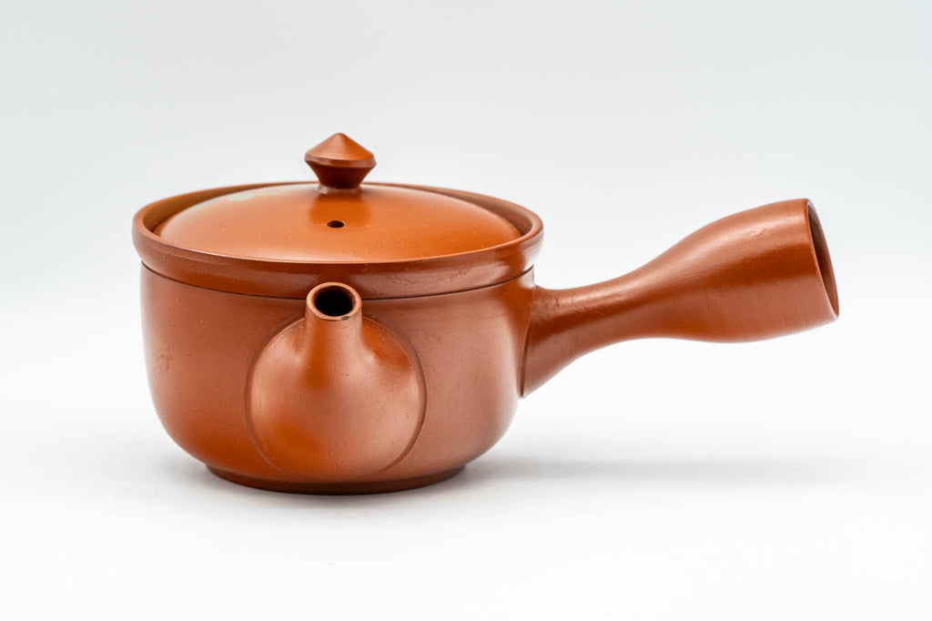 Japanese Kyusu - Floral Tokoname-yaki Mesh Teapot - 230ml