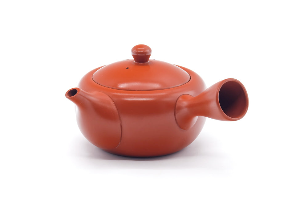 Japanese Kyusu - Long Grass Engraved Tokoname Mesh Teapot - 310ml