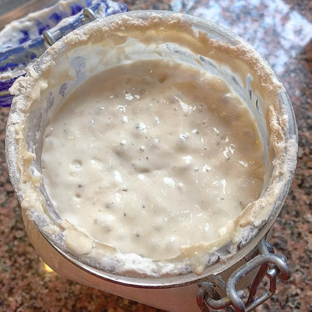 Sourdough Starter Packet
