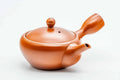 Japanese Kyusu - Red Shudei Tokoname-yaki Nozomi Mesh Swing Filter Teapot - 240ml