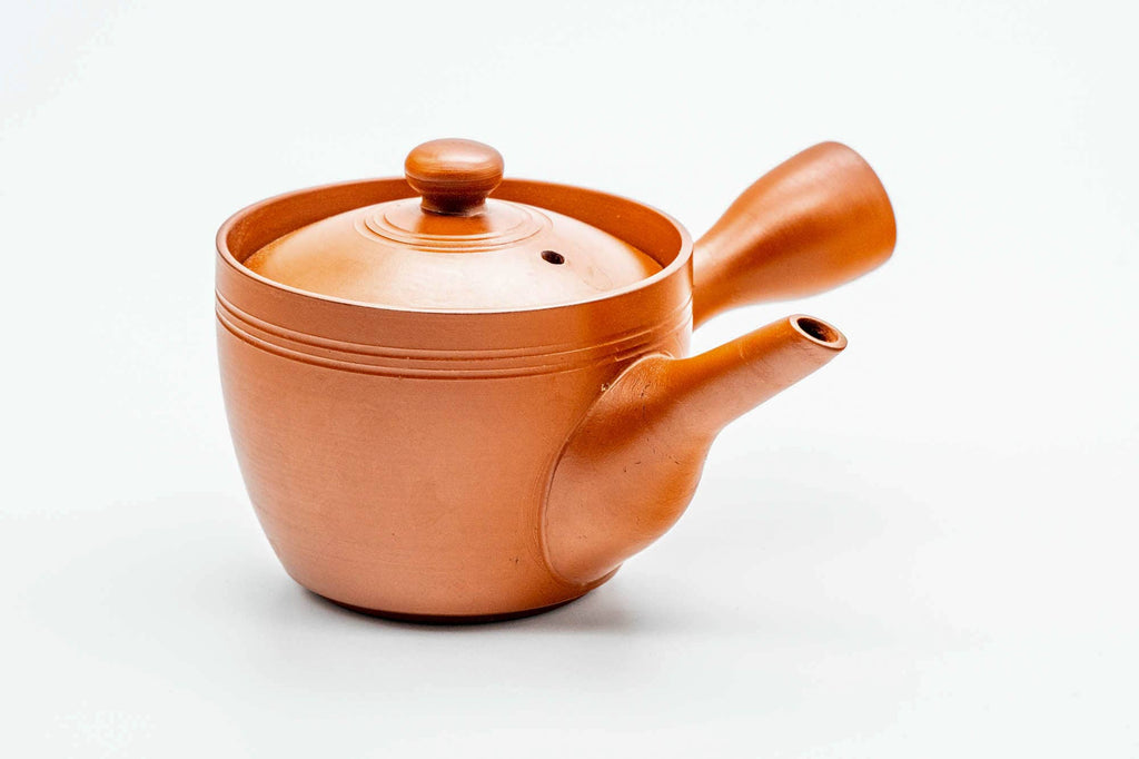 Japanese Kyusu - Red Shudei Tokoname-yaki Mesh Teapot - 160ml