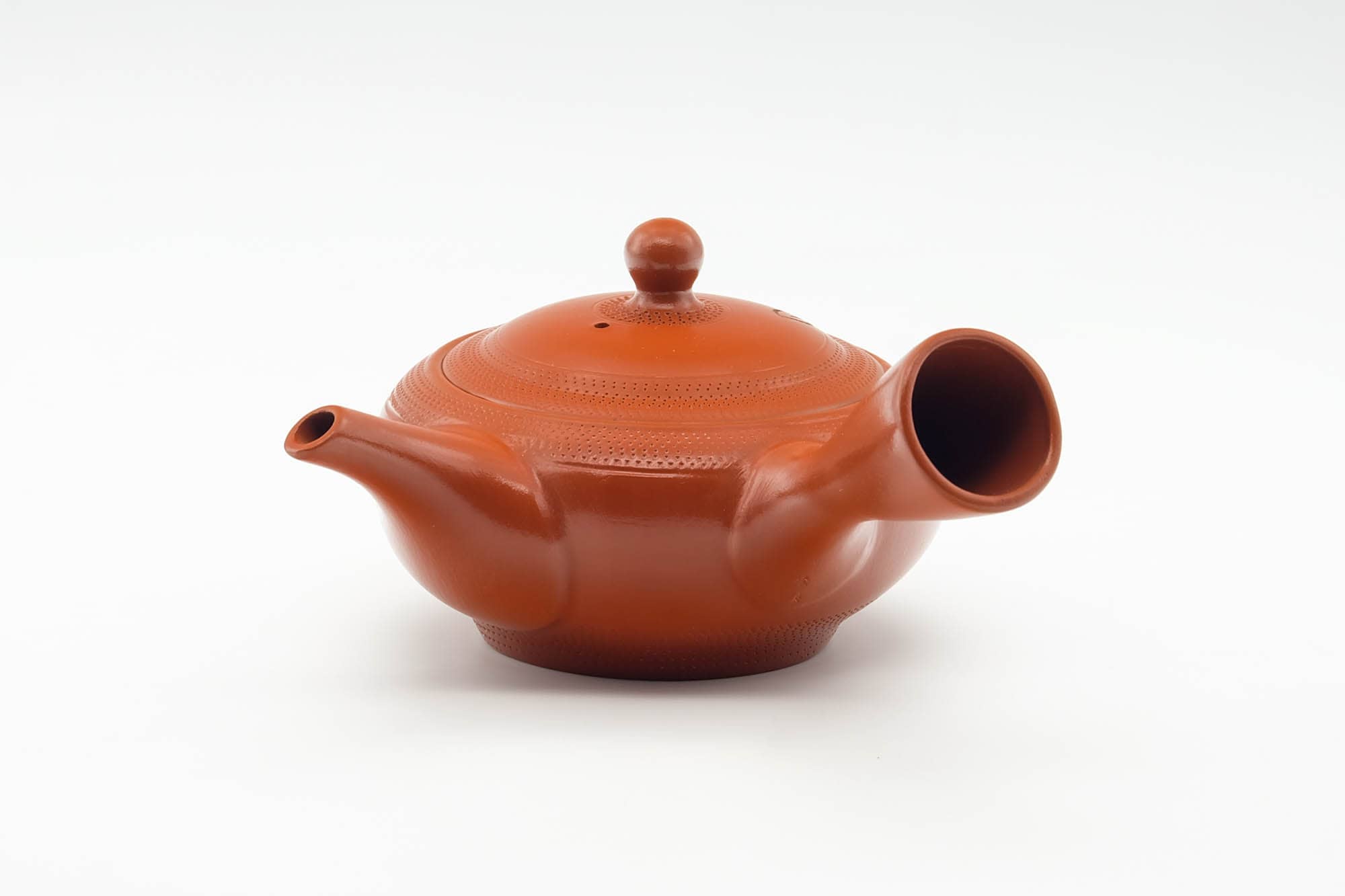 Japanese Kyusu - Engraved Leaves Tokoname-yaki Mesh Filter Teapot - 200ml