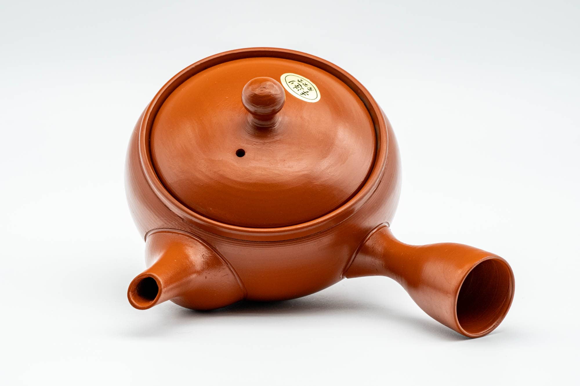 Japanese Kyusu - Classic Red Shudei Tokoname-yaki Mesh Teapot - 230ml