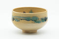Japanese Matcha Bowl - Beige Green Abstract Kyo-yaki Chawan - 300ml