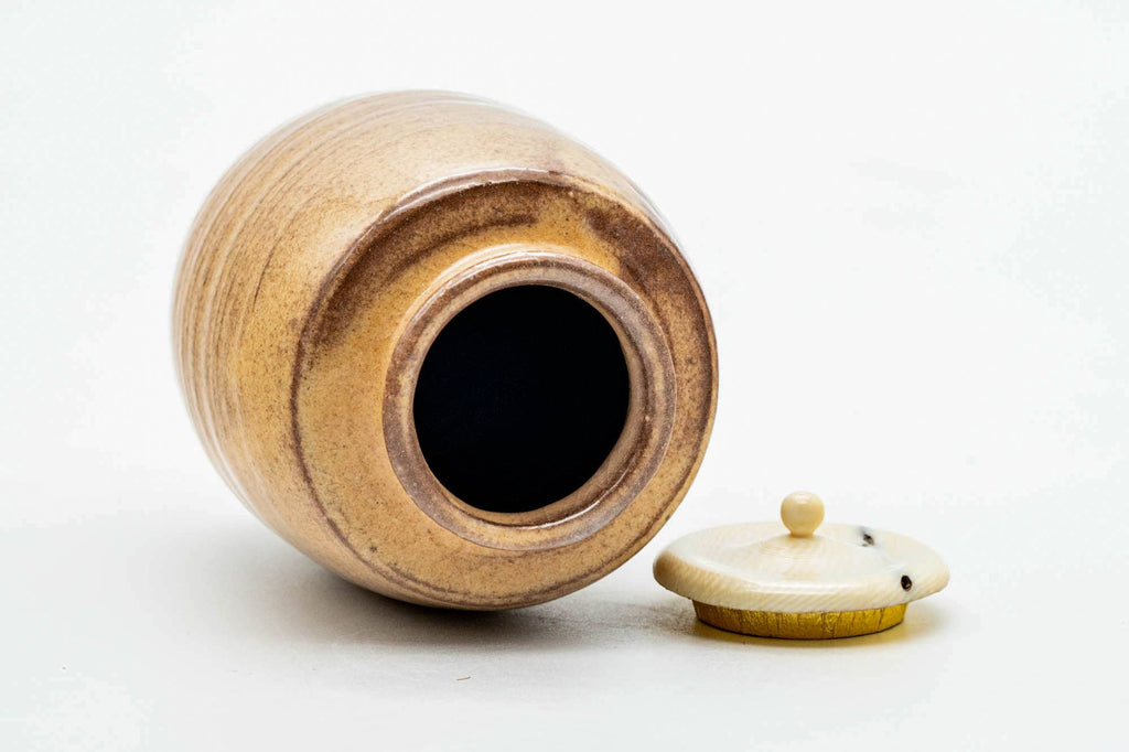 Japanese Chaire - 大野瑞峰 Mizumine Ōno - Beige Biwa-iro Loquat Glazed Hagi-yaki Tea Caddy
