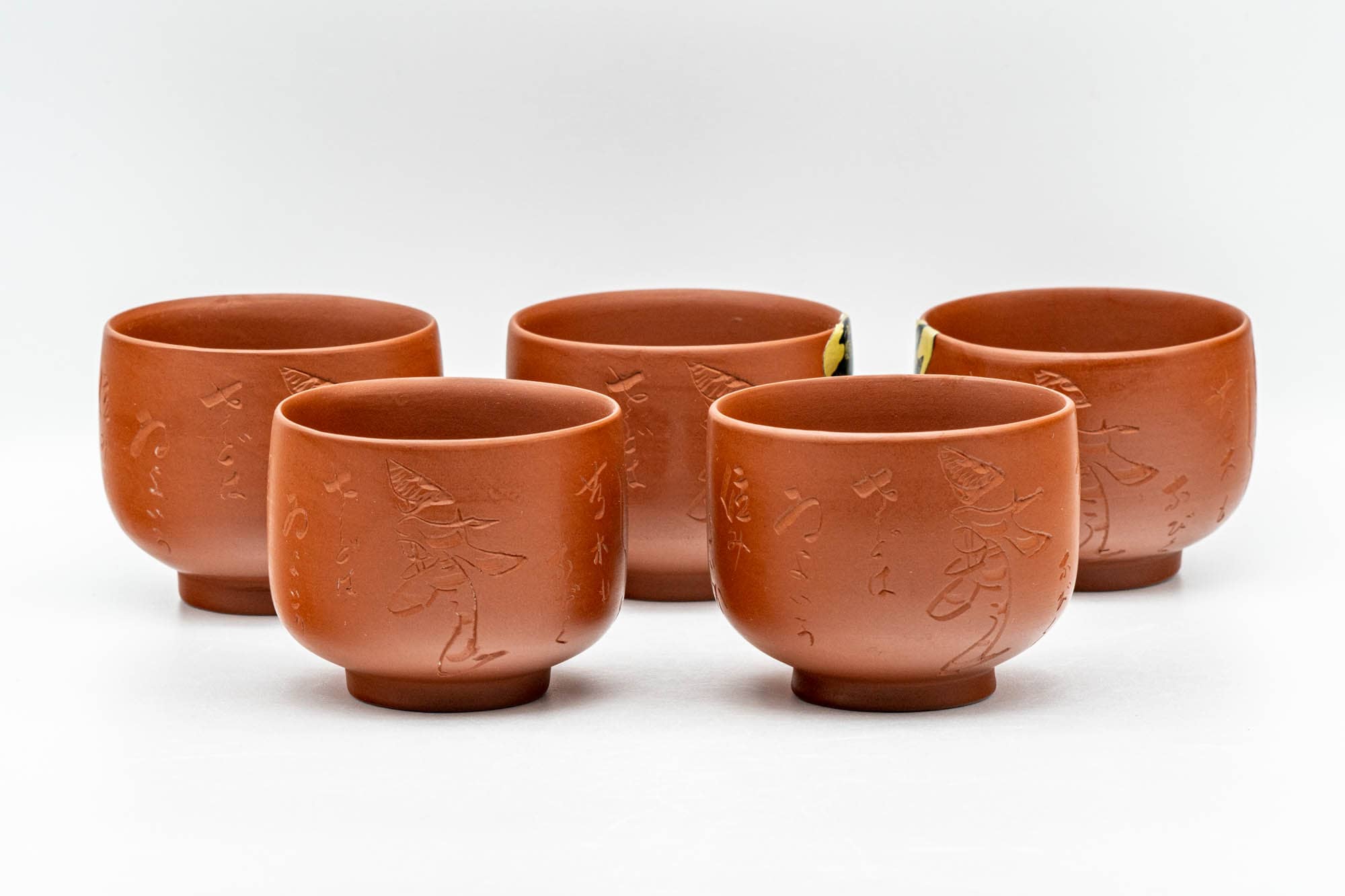 Japanese Tea Set - Glossy Tokoname-yaki Debeso Kyusu Teapot with 5 Yunomi Teacups
