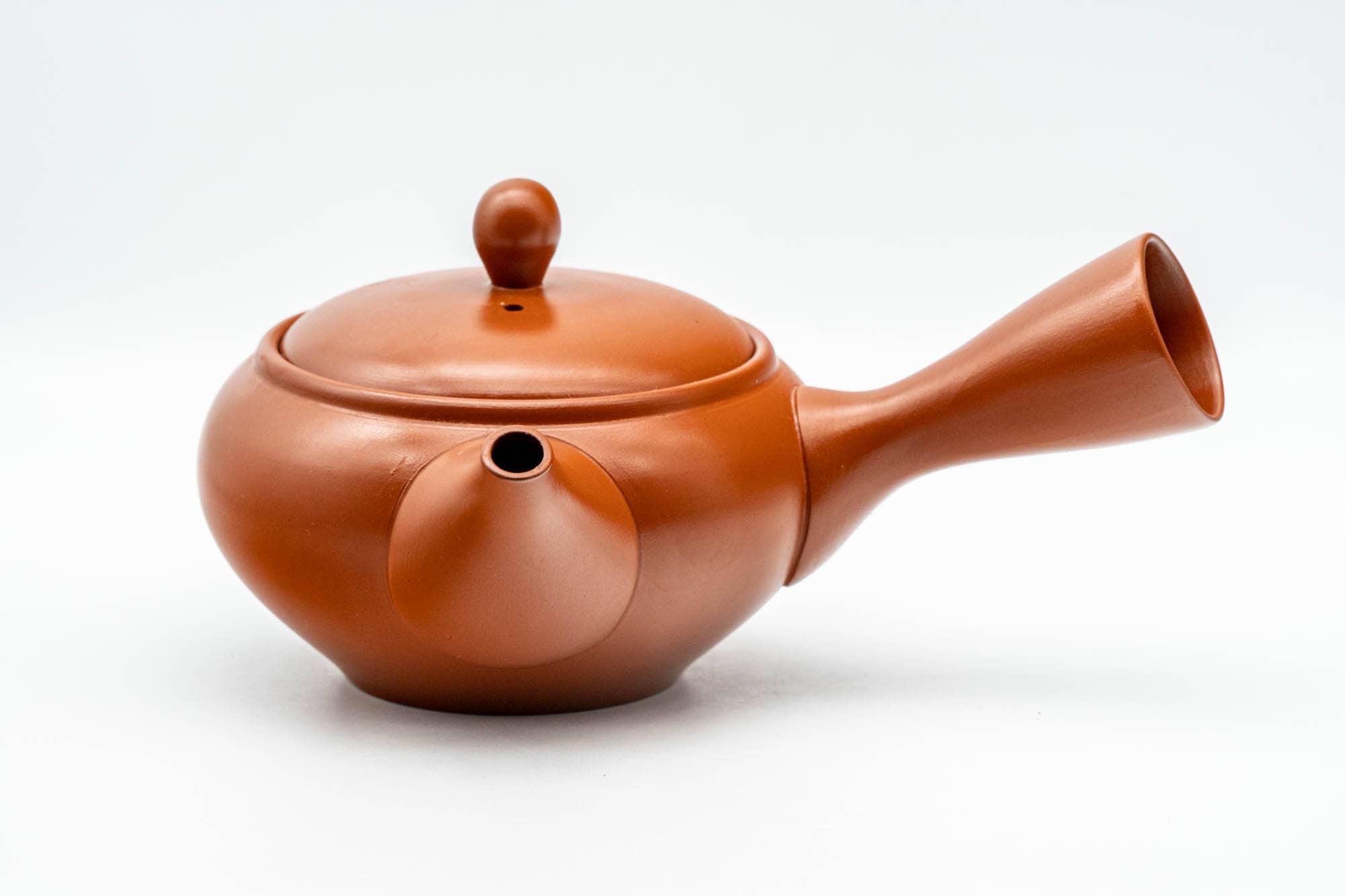 Japanese Kyusu - 弘洋 Kouyou - Floral Tokoname-yaki Mesh Teapot - 300ml