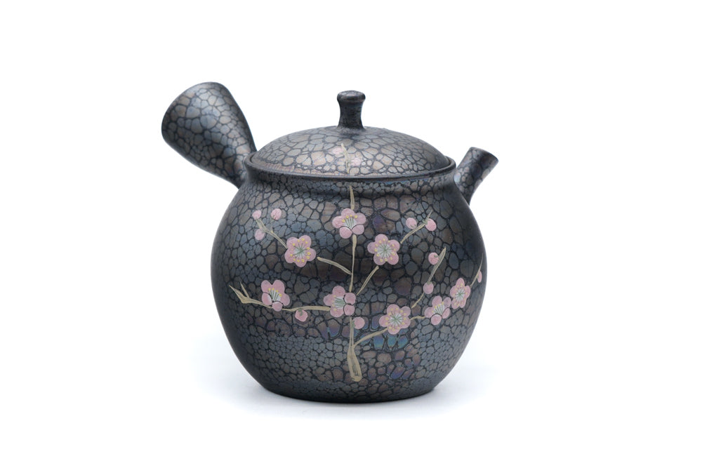 Plum Blossom Tenmoku Tokoname Kokudei Teapot - 260ml