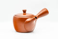 Japanese Kyusu - Classic Red Shudei Tokoname-yaki Mesh Teapot - 300ml