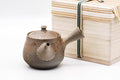 Mogake Tanka Tokoname Teapot - 250ml