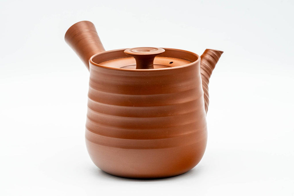 Japanese Kyusu - 岩橋應山 Iwahashi Ouzan - Rokurome Spiraling Tokoname-yaki Do-ake Teapot - 250ml