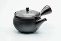 Japanese Kyusu - 玉龍 Gyokuryu Umehara Jiro - Spiraling Kokudei Tokoname-yaki Mesh Teapot - 300ml
