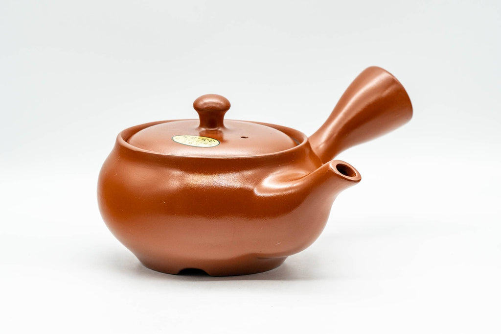 Japanese Kyusu - Red Shudei Tokoname-yaki Mesh Teapot - 300ml