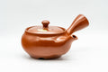 Japanese Kyusu - Red Shudei Tokoname-yaki Mesh Teapot - 300ml