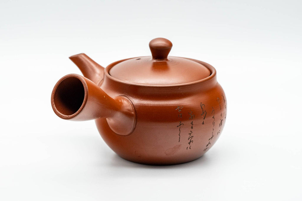 Japanese Kyusu - Calligraphy Engraved Tokoname-yaki Mesh Teapot - 260ml