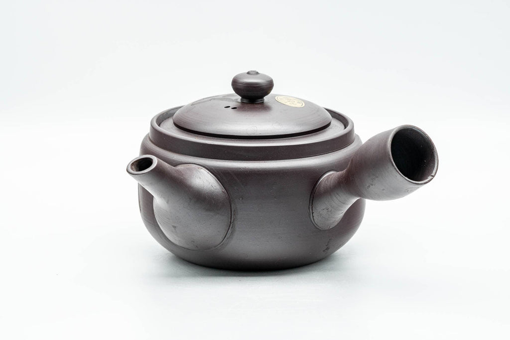 Japanese Kyusu - Engraved Swirls Banko-yaki Mesh Teapot - 330ml