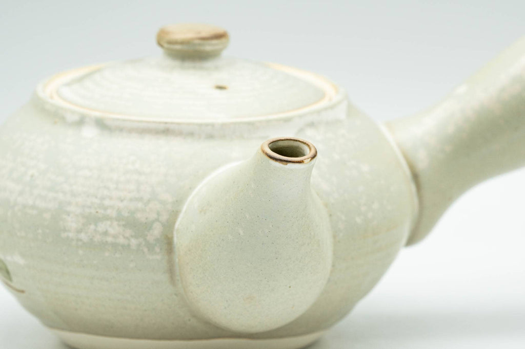 Japanese Kyusu - Beige Foliage Kiyomizu-yaki Debeso Teapot - 300ml
