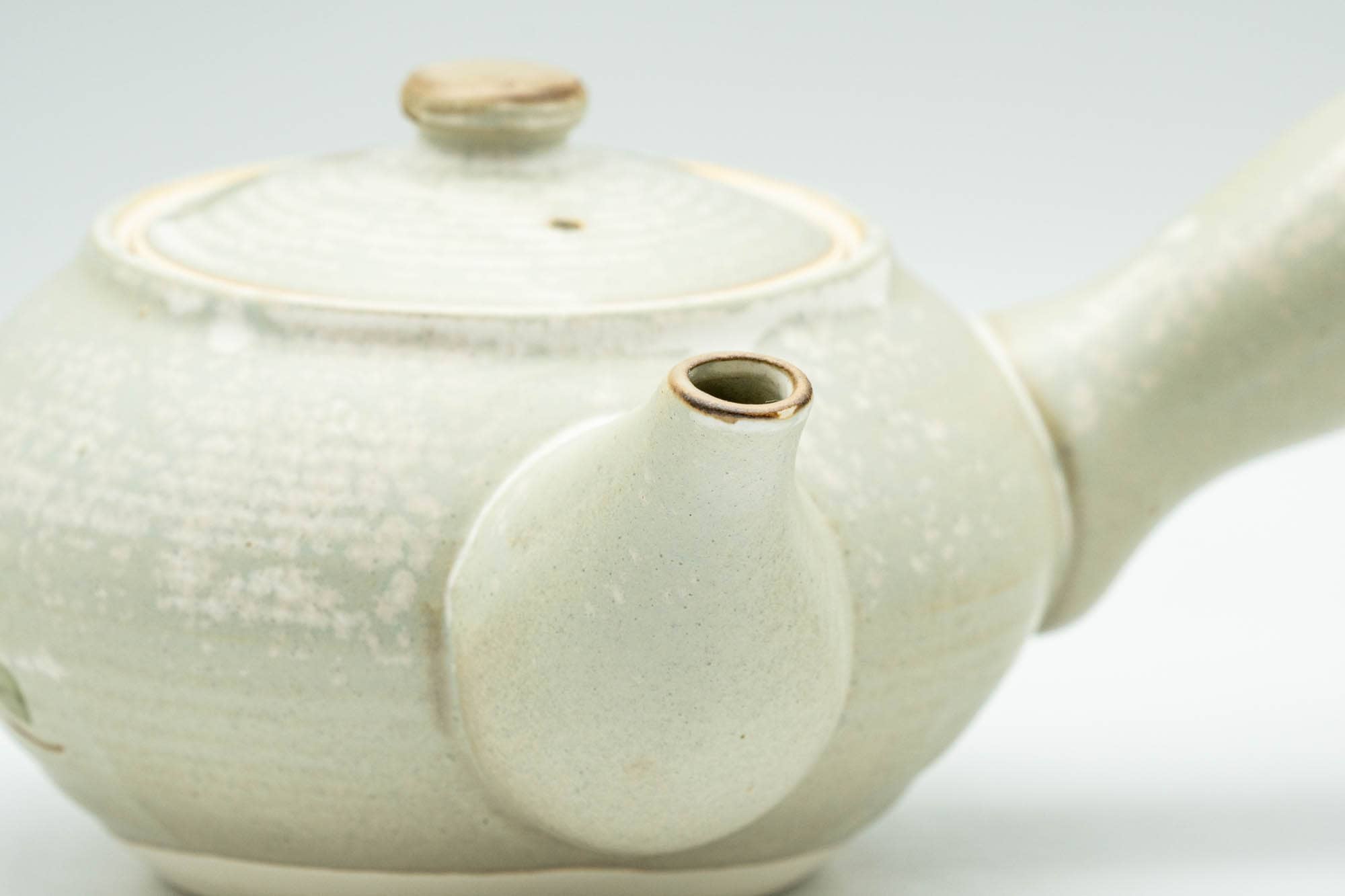 Japanese Kyusu - Beige Foliage Kiyomizu-yaki Debeso Teapot - 300ml