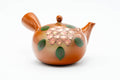 Japanese Kyusu - Floral Red Shudei Tokoname-yaki Mesh Basket Teapot - 280ml