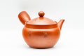 Japanese Kyusu - Kanji Engraved Tokoname-yaki Mesh Teapot - 310ml