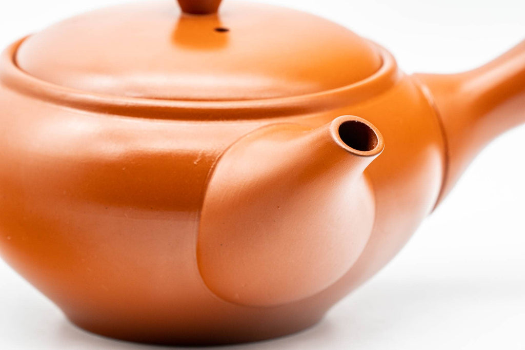 Japanese Kyusu - 弘洋 Kouyou - Floral Tokoname-yaki Mesh Teapot - 300ml