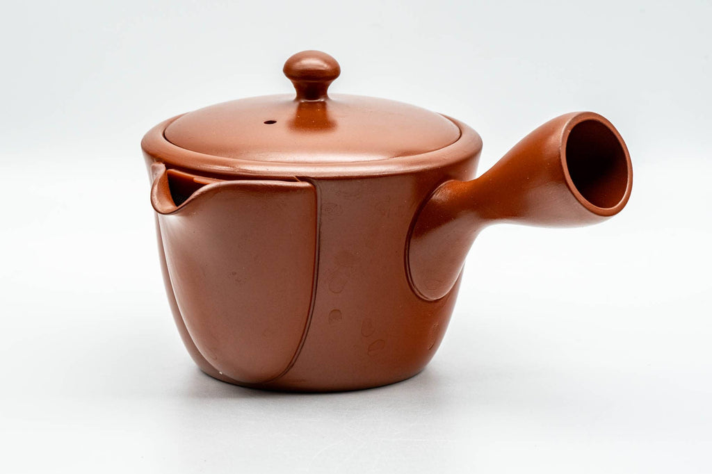 Japanese Kyusu - Plum Blossom Engraved Tokoname-yaki Mesh Teapot - 300ml