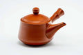 Japanese Kyusu - Bamboo-shaped Handle Red Shudei Tokoname-yaki Mesh Basket Teapot - 200ml