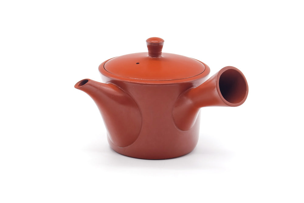 Japanese Kyusu - Bamboo Engraved Tokoname Mesh Teapot - 260ml