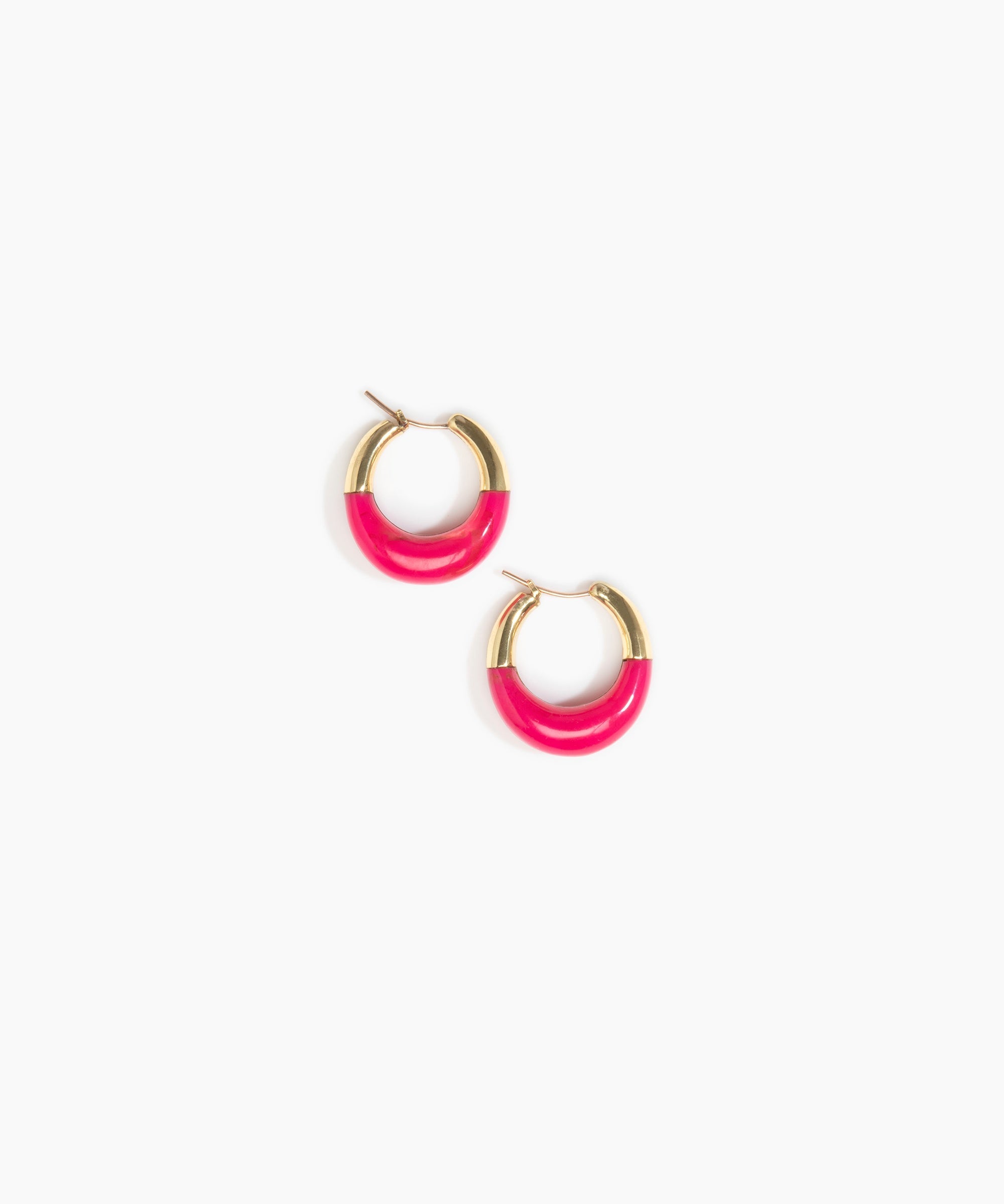 Small Horn Hoop Earrings
