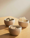 3pc Dip Bowl Set / Garden To Table