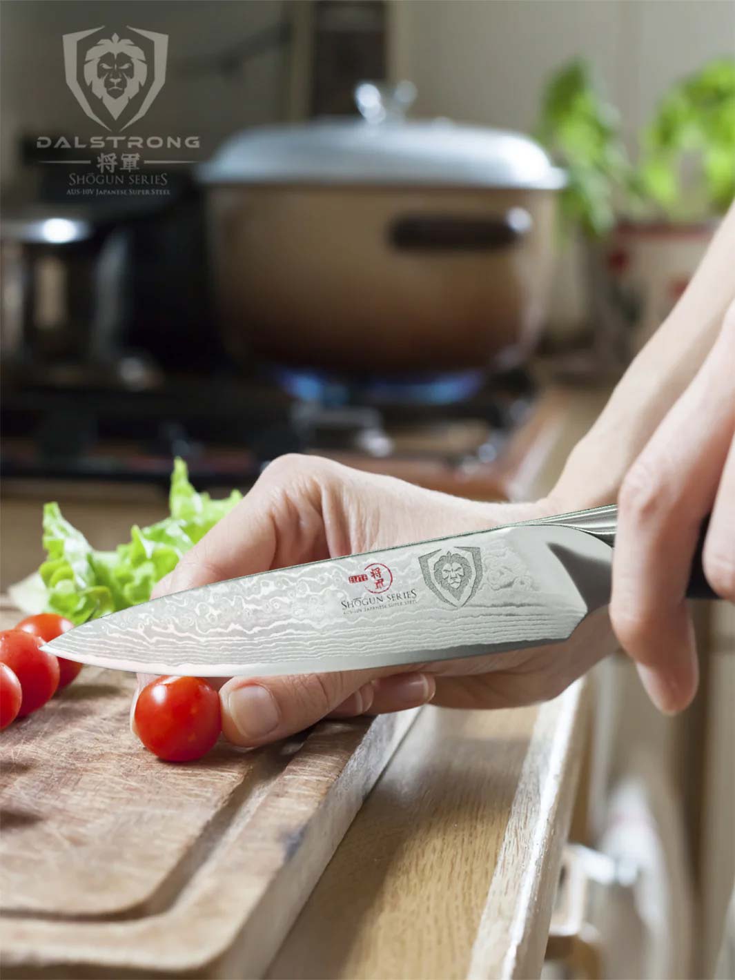Paring Knife 3.5" | Shogun Series | ELITE | Dalstrong ©