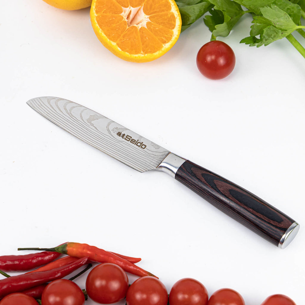 5-Piece Japanese Master Chef Knife Set
