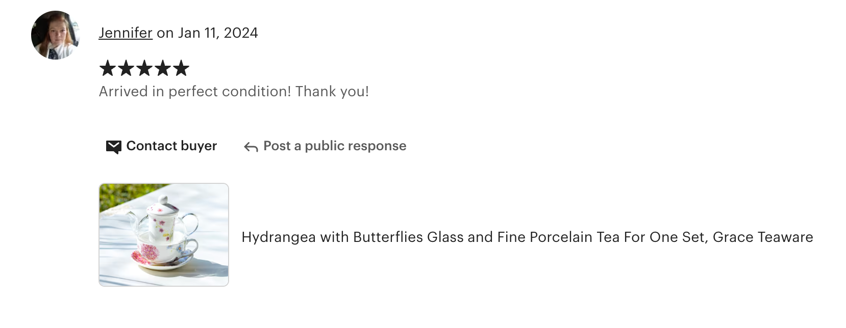 Hydrangea with Butterflies Glass and Fine Porcelain Tea For One Set