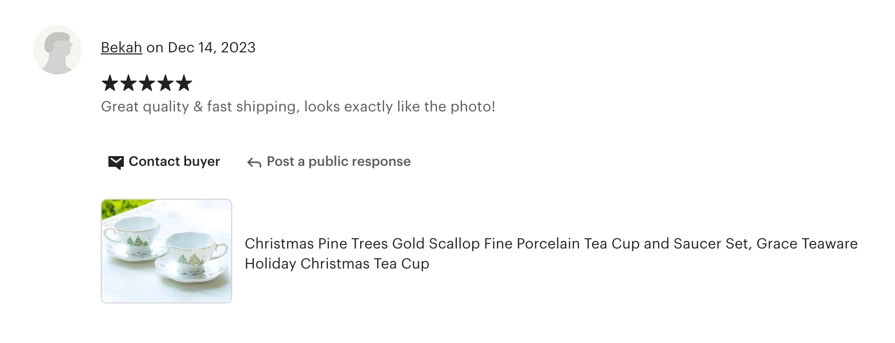 Christmas Pine Trees Fine Porcelain Tea Cup and Saucer