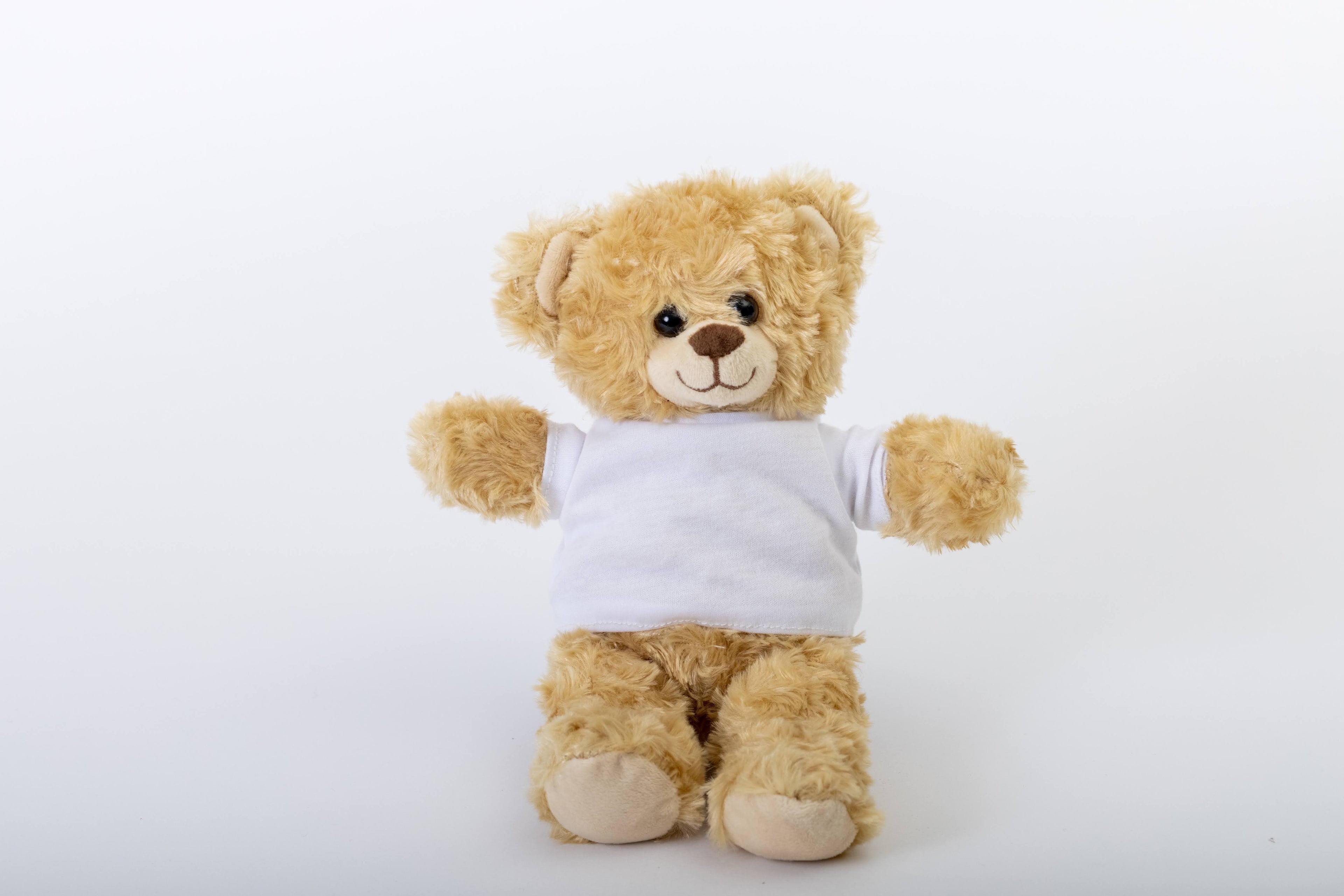 Small Plush Teddy Bear with Tee