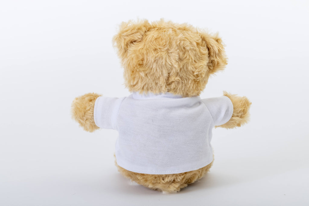 Small Plush Teddy Bear with Tee