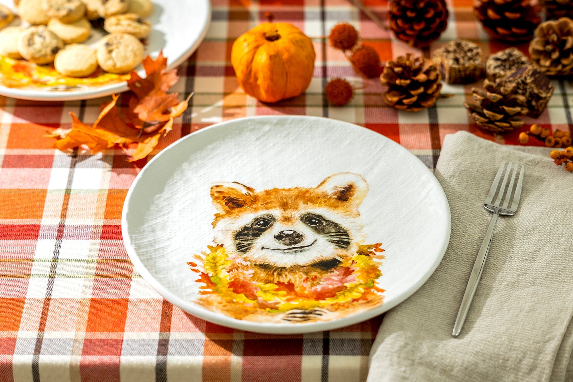 8.5" Happy Raccoon Salad/Dessert Plate