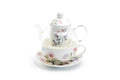 Garden Joy Glass and Fine Porcelain Tea For One Set