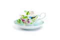 Blue Jay Pink Rose Garden Bone China Tea Cup and Saucer