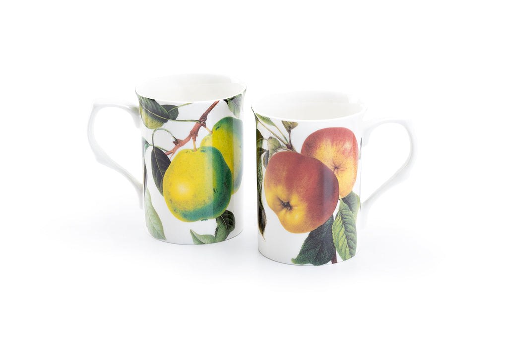 Apple and Pear Bone China Mug Set