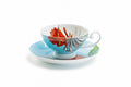 Cactus Flower and Palm Leaf Bone China Tea Cup and Saucer