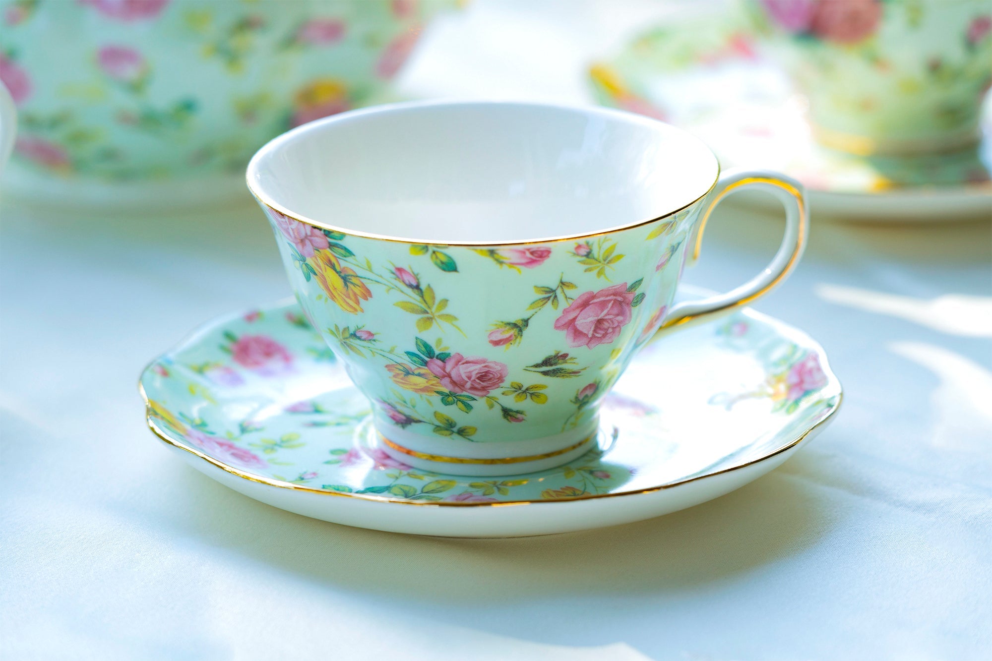Blue Cottage Rose Chintz Fine Porcelain Tea Cup and Saucer