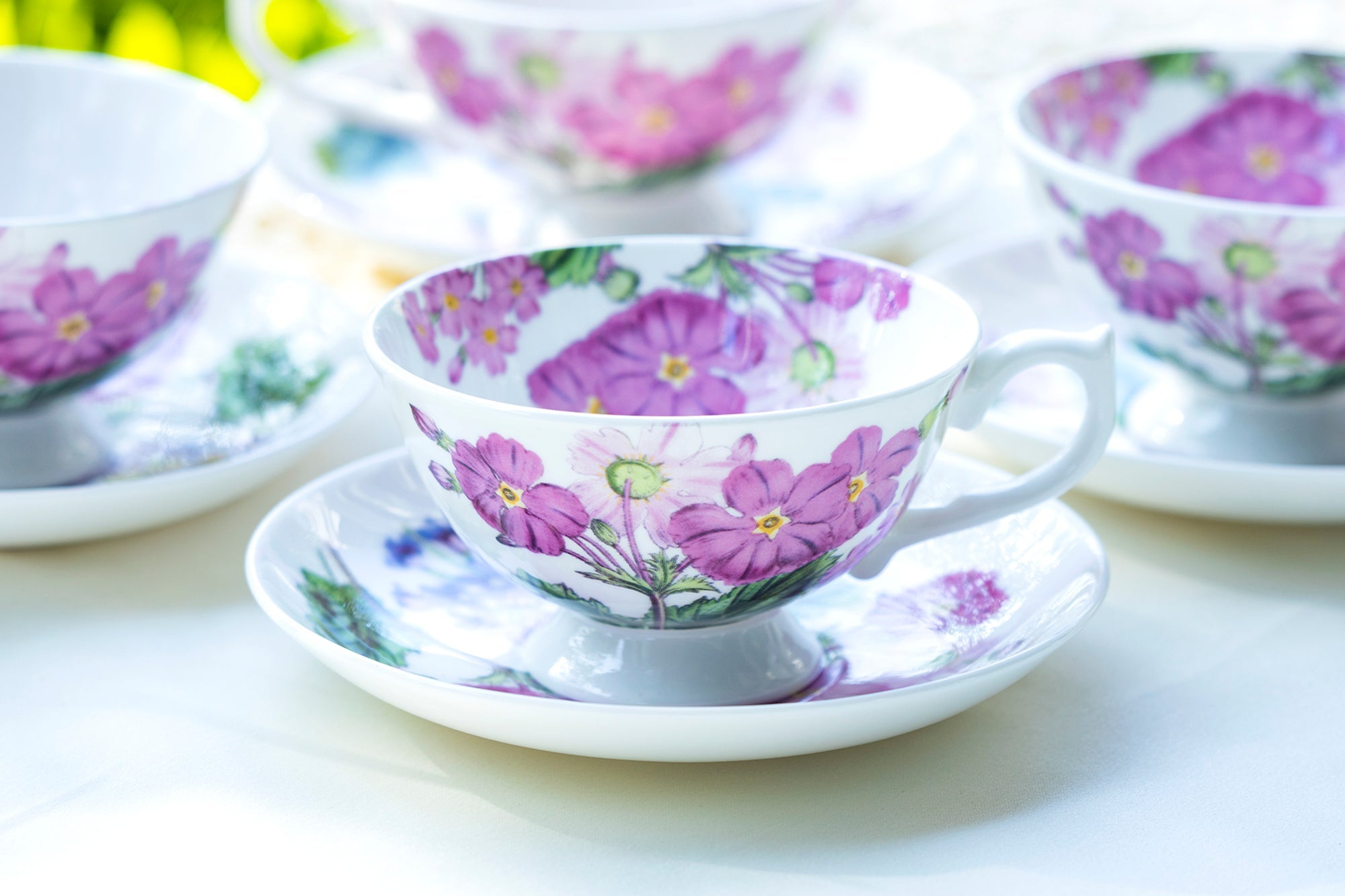 Pink Zinnia Bone China Tea Cup and Saucer