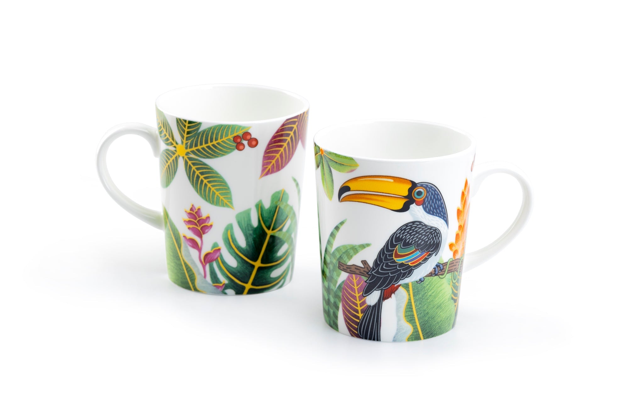 Tropical Birds Assorted Bone China Mug Set of 4
