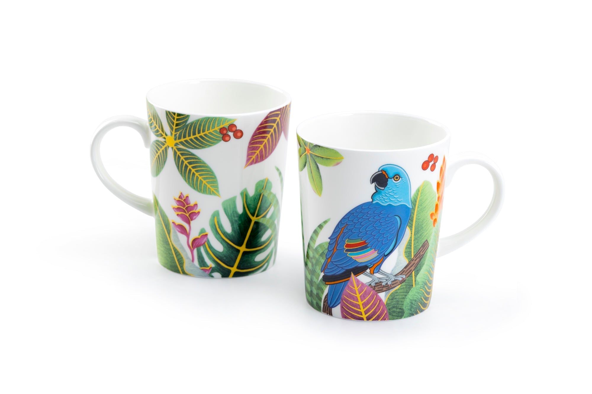 Tropical Birds Assorted Bone China Mug Set of 4