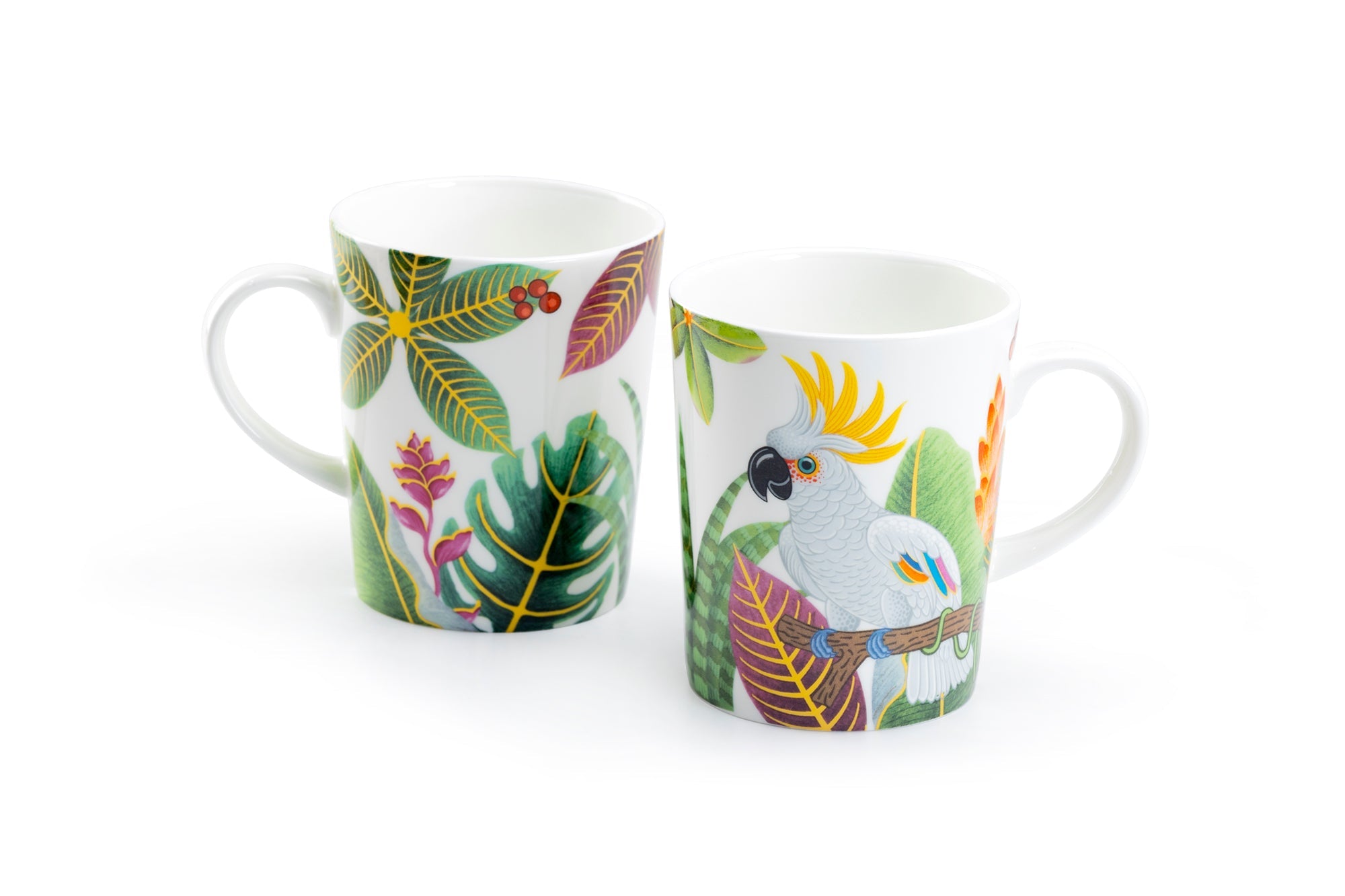 Tropical Birds Assorted Bone China Mug Set of 4