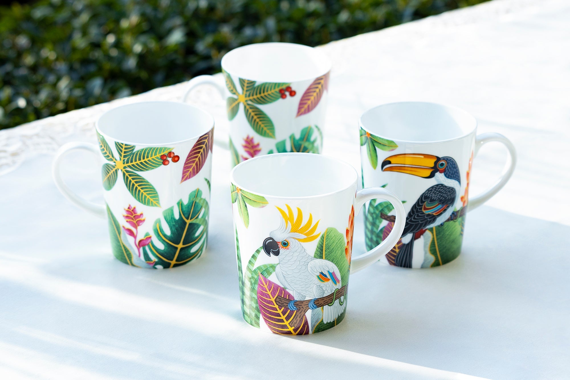 Tropical Birds Assorted Bone China Mug Set of 4